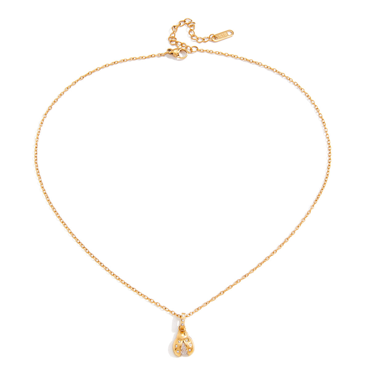 Petit bonheur d'insecte