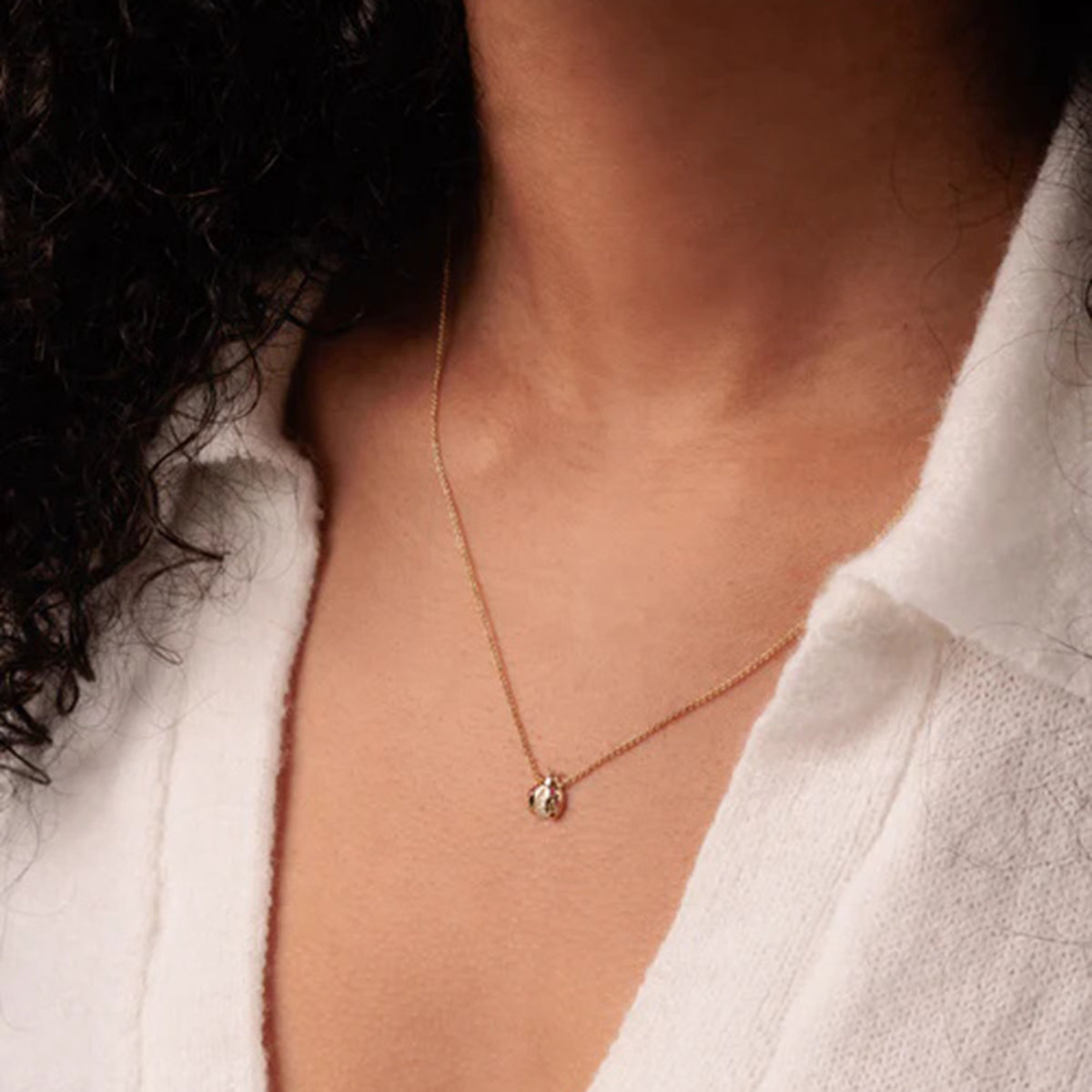 Petit bonheur d'insecte